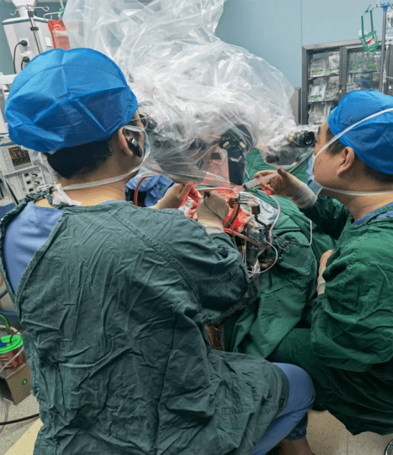 手术中鼻腔顶部的筛骨水平板,额窦后壁,筛窦顶壁以及蝶窦的上,后,侧壁