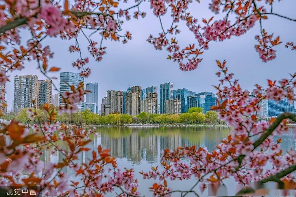 临沂五洲湖城市风光