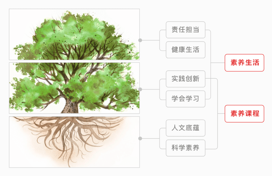 宝安基础教育学科_宝安教育在线基础教育科_宝安基础教育科