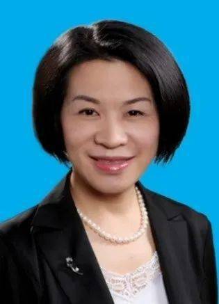 教指委副主任委员,原吉林大学党委常务副书记蔡莉专家介绍会议主要