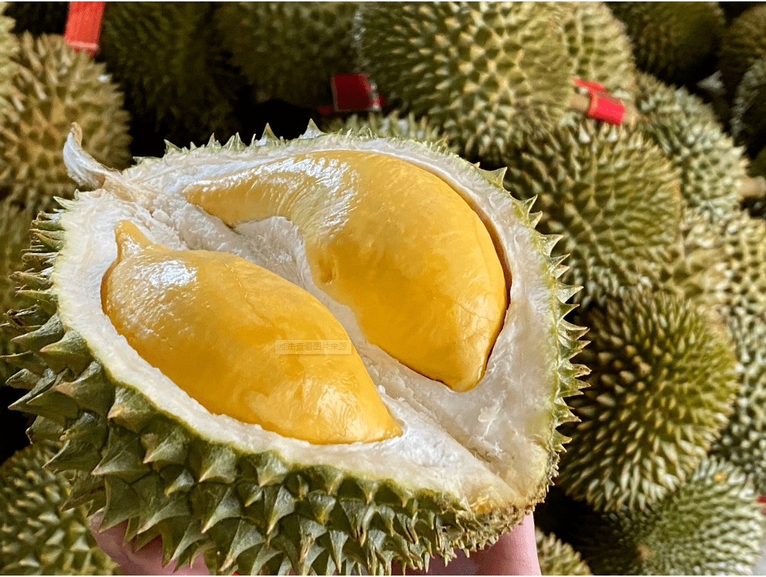 中国边关对泰国出口榴莲发出最后警告信