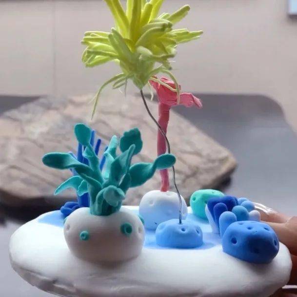 云博学堂云手工海中舞者海百合