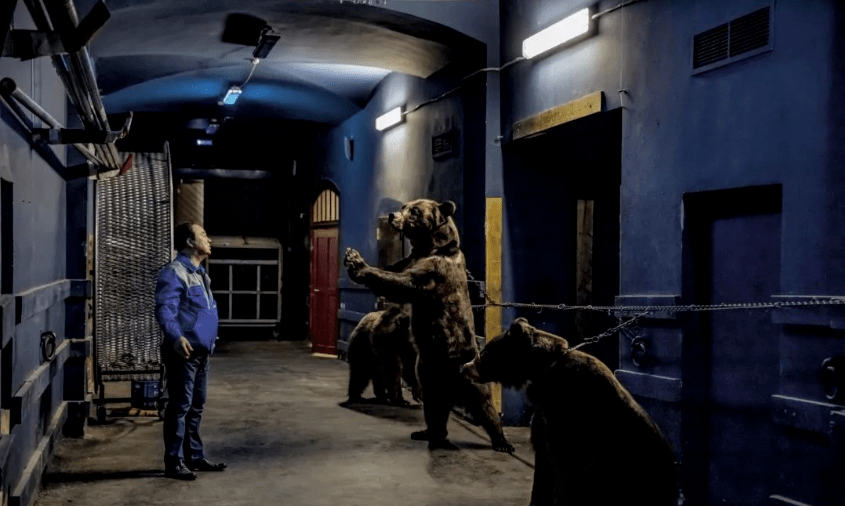 睡粪坑戴脚镣身体被刺穿从全民公主到囚禁赚钱千万网友在救她脱离苦海