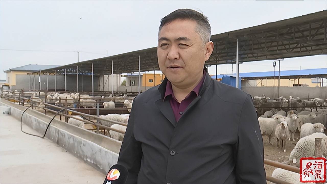 酒泉:培育提升农民专业合作社 激发乡村振兴新动能_发展_南岔镇_农民