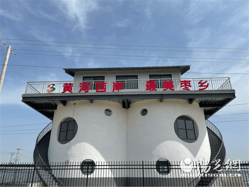 大荔县范家镇乡村振东风劲冬枣甜度再升级