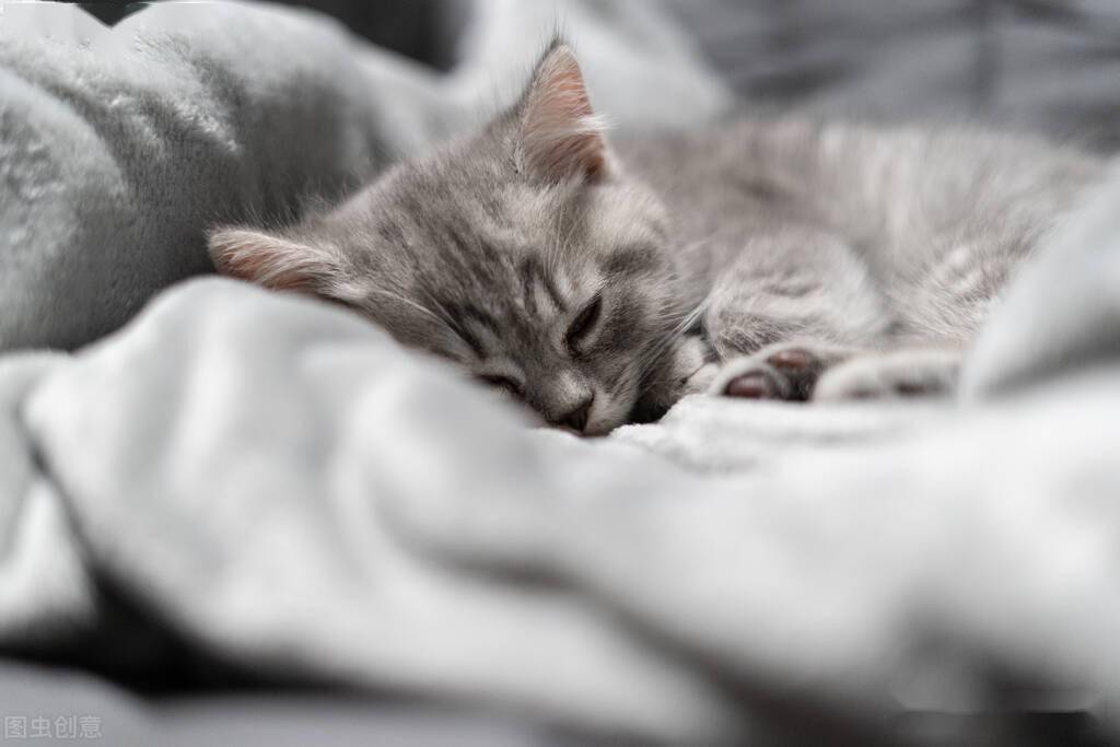 周末睡懒觉能降低抑郁风险