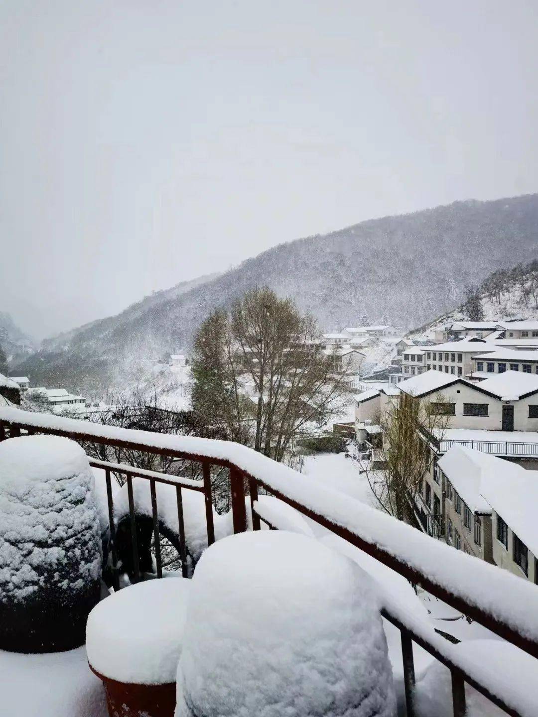 门头沟4月下雪仿佛一夜又入了冬