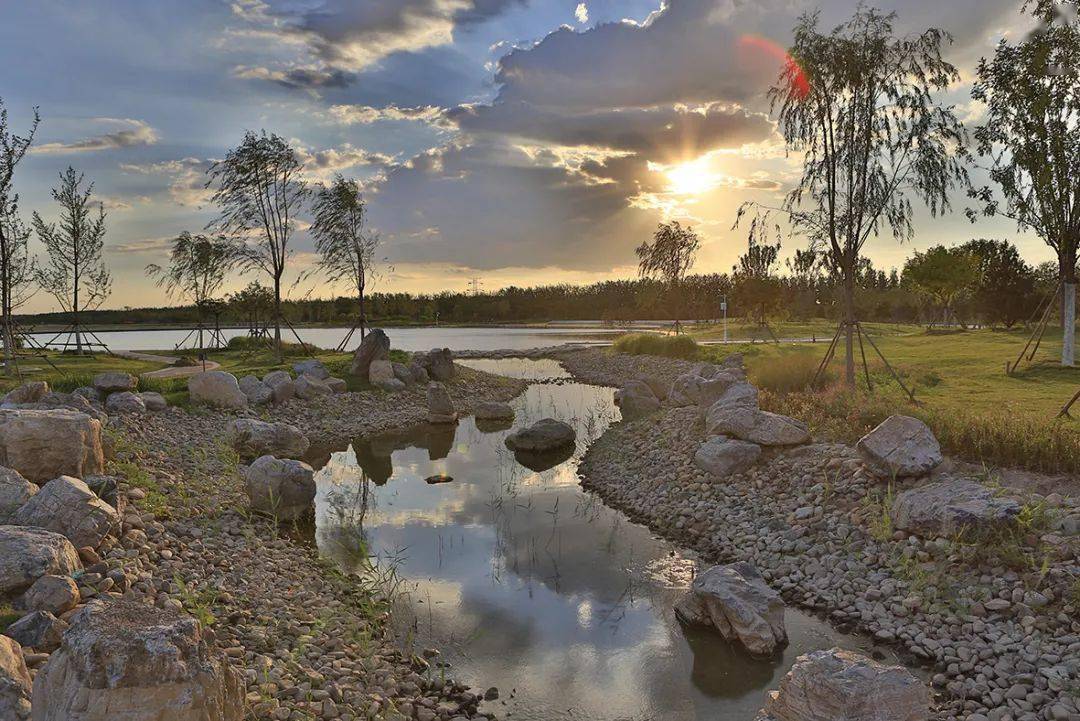 坚持"环境优区" 打造生态滨城_滨海新区_绿色_湿地