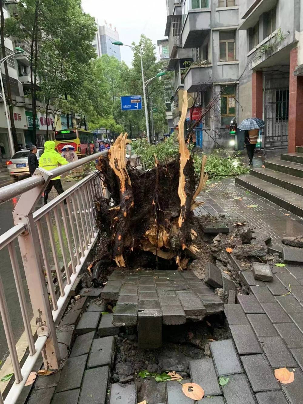 来感受下酉阳凌晨的风!_重庆_狂风暴雨_大风