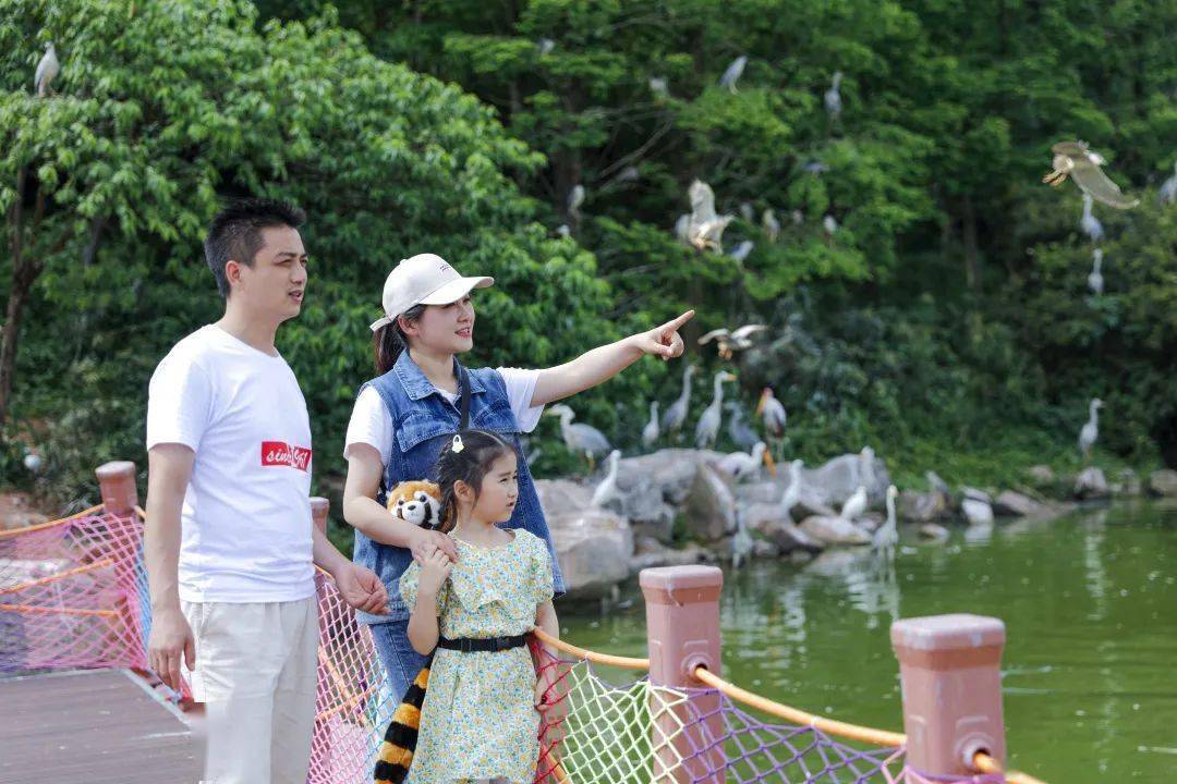 你有一份五一亲子打卡耍法放肆嗨玩