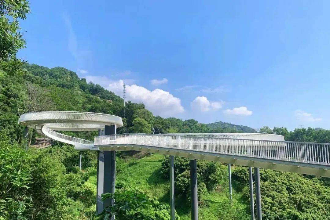 大顶岭山林公园图片