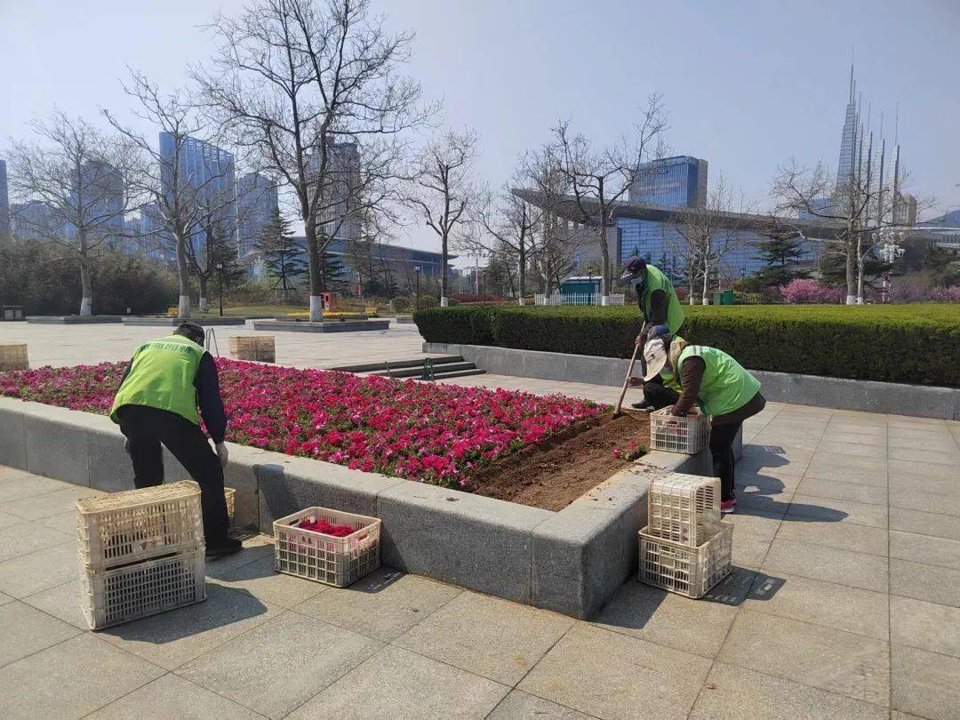 威海園林更換草花增氣氛扮靚城市迎五一