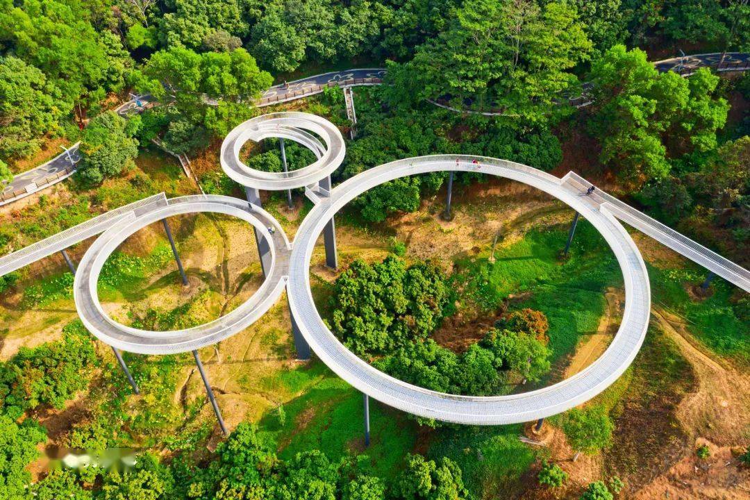 马拉松山湖绿道"///大顶岭绿道拥抱自然森呼吸尽情拥抱这里生态诗意的