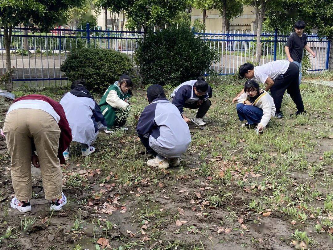 张中校园新闻2022年春学期第十周劳动实践活动纪实栽种希望茁壮成长