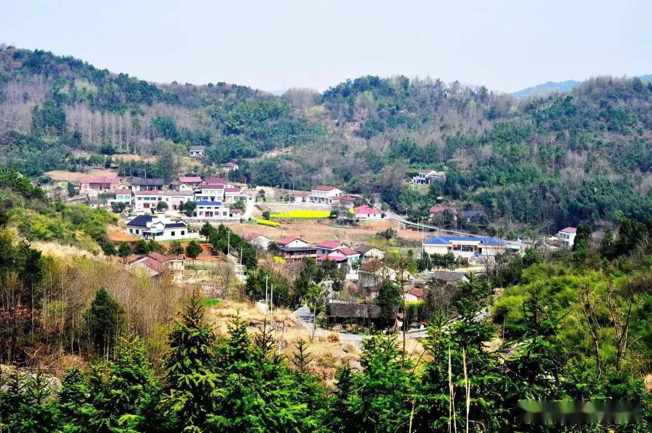 澧县码头铺镇立足共建共治共享让绿水青山变金山银山