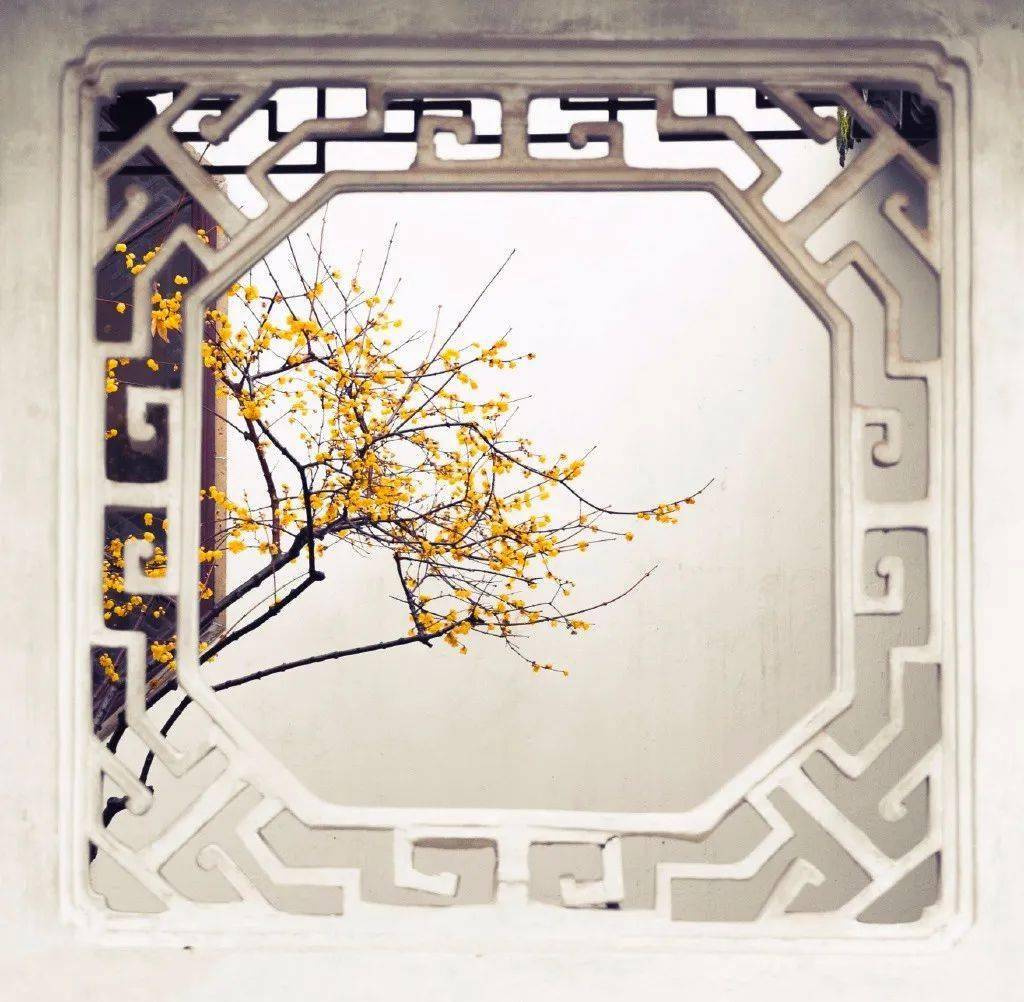 不入苏州园林怎知春色如许