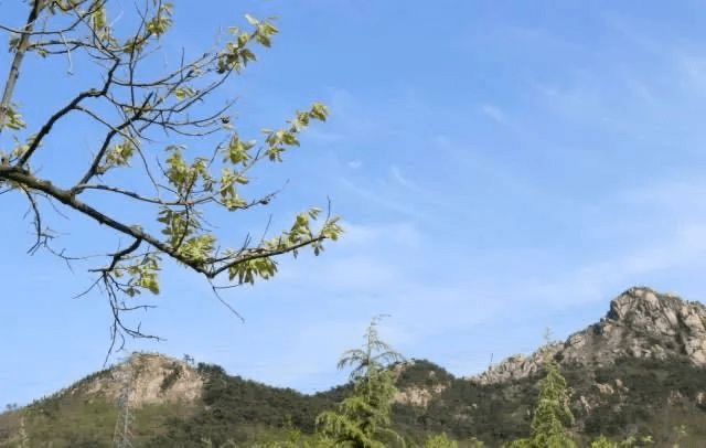 通山的道路四通八達,大路環山而行,小路蜿蜒曲折.