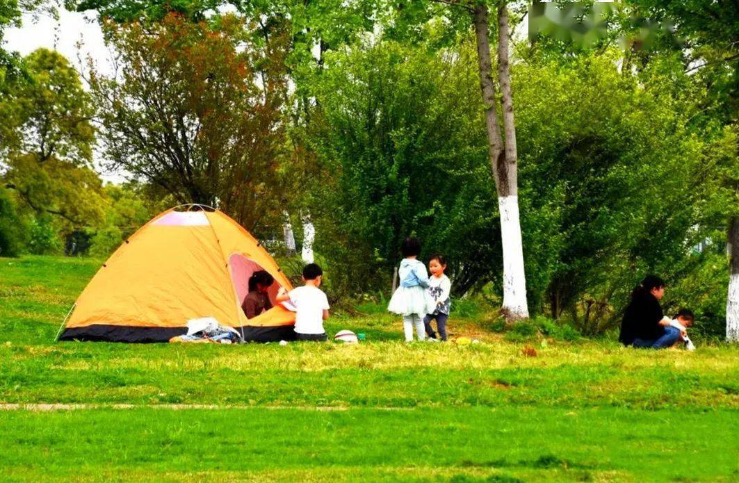 在希望的田野上系列報道227帳篷戶外打卡首選巢湖雲水灣公園