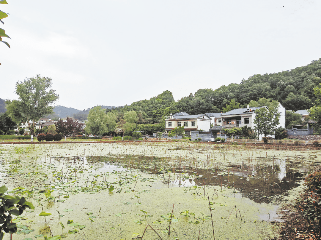 鄉村展新顏——商南縣強力推進秦嶺山水鄉村建設_試馬鎮_發展_紅廟村