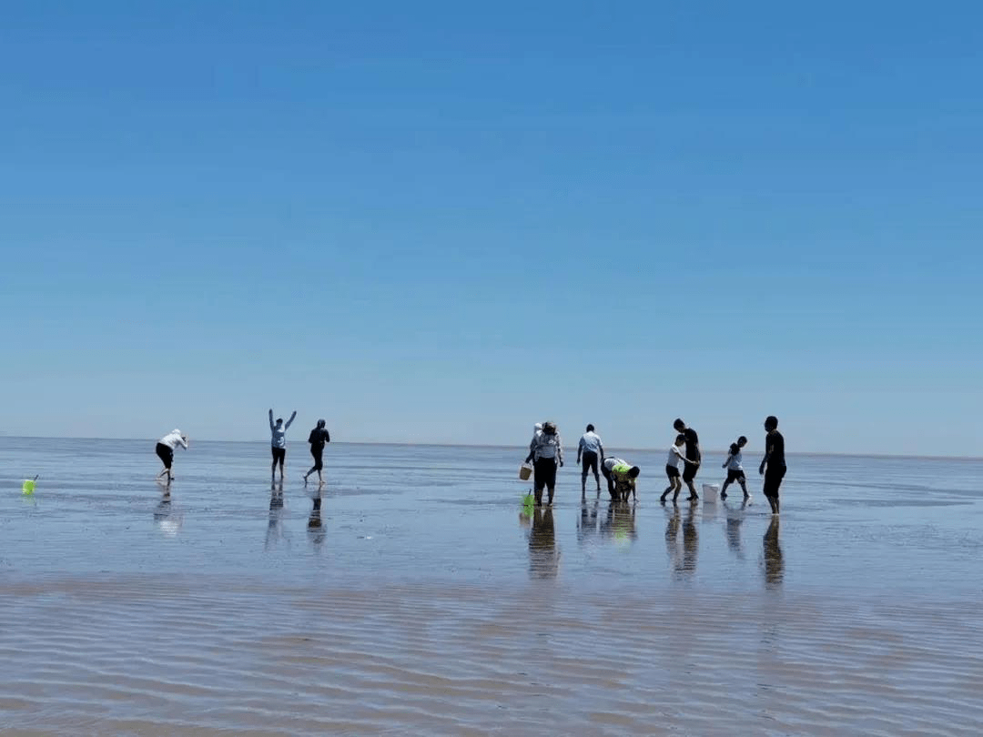 灘溼地旅遊區→黃河口生態旅遊區→黃河口海水浴場→知青小鎮二,濱海