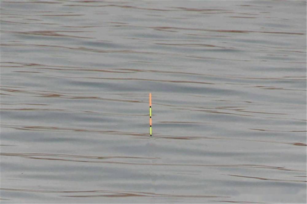 手竿浮钓鲢鳙浮漂最好这样调这些漂相出现时提竿基本能中鱼