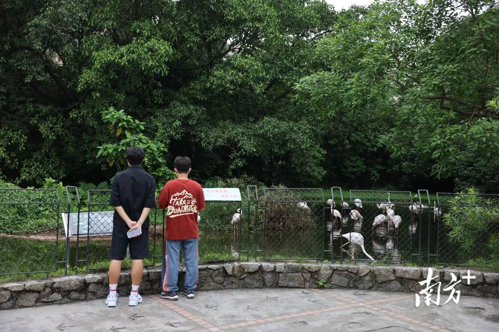 五一假期首日廣州動物園客流平穩有序