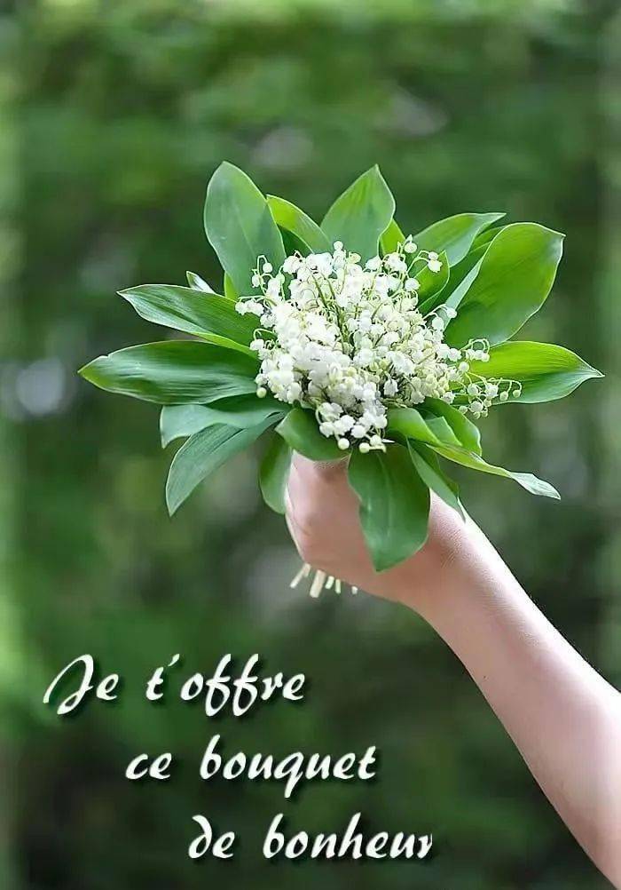 劳动节这天最不起眼的铃兰花,竟成了时尚圈的宠儿?_法国_迪奥_du