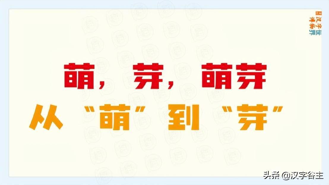 汉字植物 草本初生 甲乙 蒙蔽 萌芽 的不同状态汉字思维表述 种子 破甲 自然