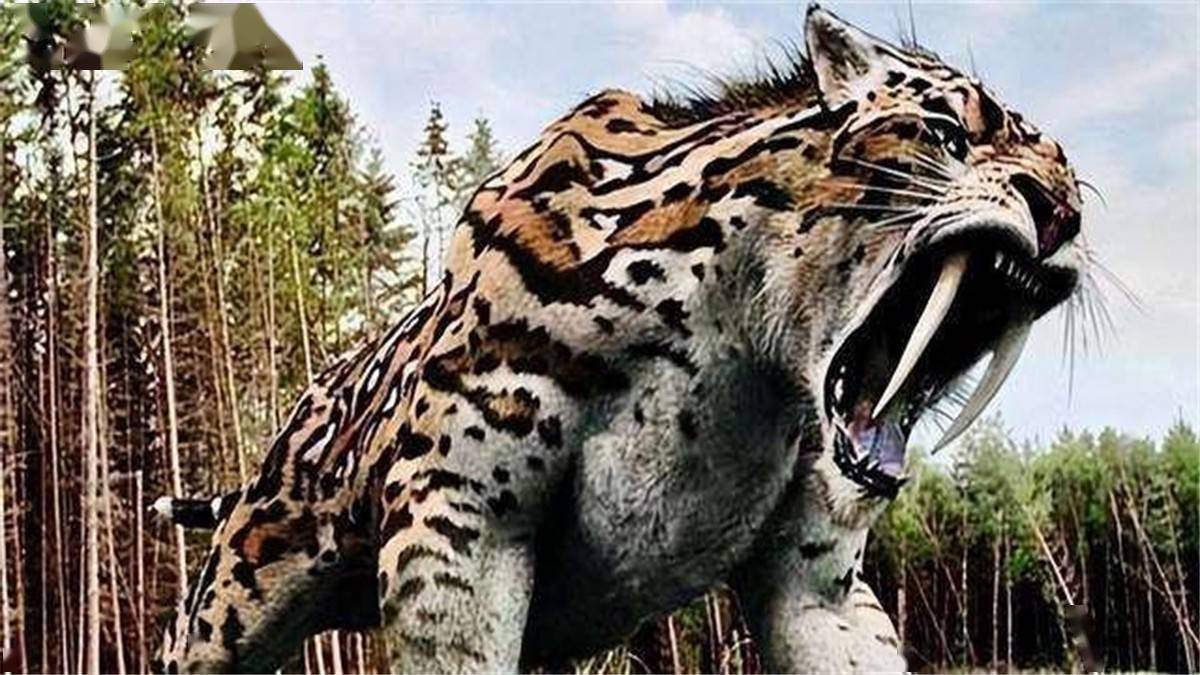 原创假设同样是200公斤的一只螳螂和老虎打一架谁会更厉害呢