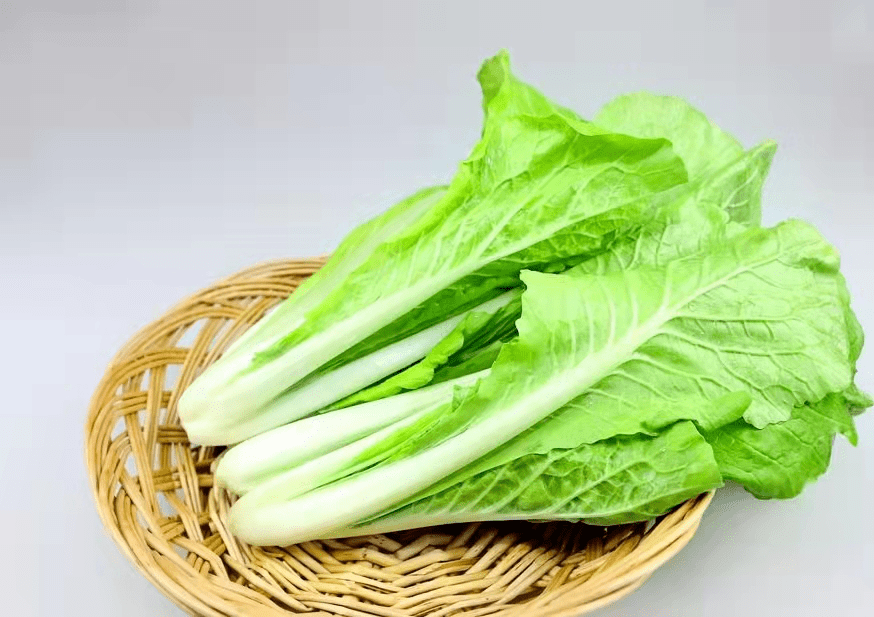 种植_食品_蔬菜