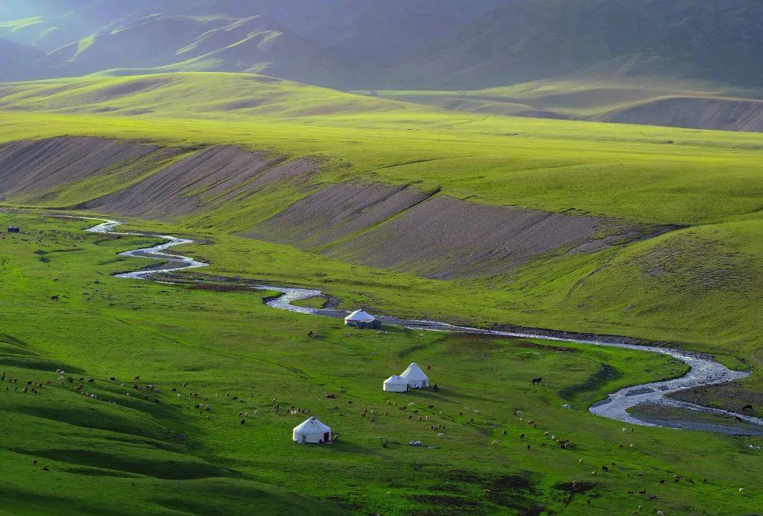 遇见博尔塔拉的五次心动!_王维全_博州_张国斌