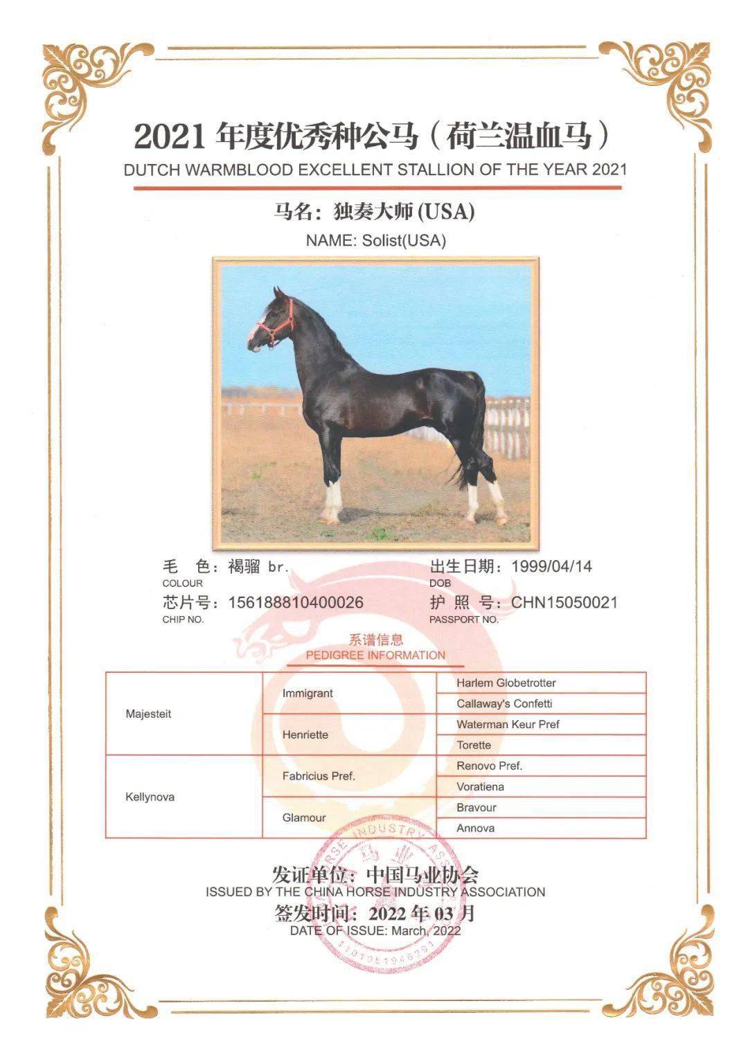 2021年度优秀种公马——荷兰温血马:独奏大师solist (usa)