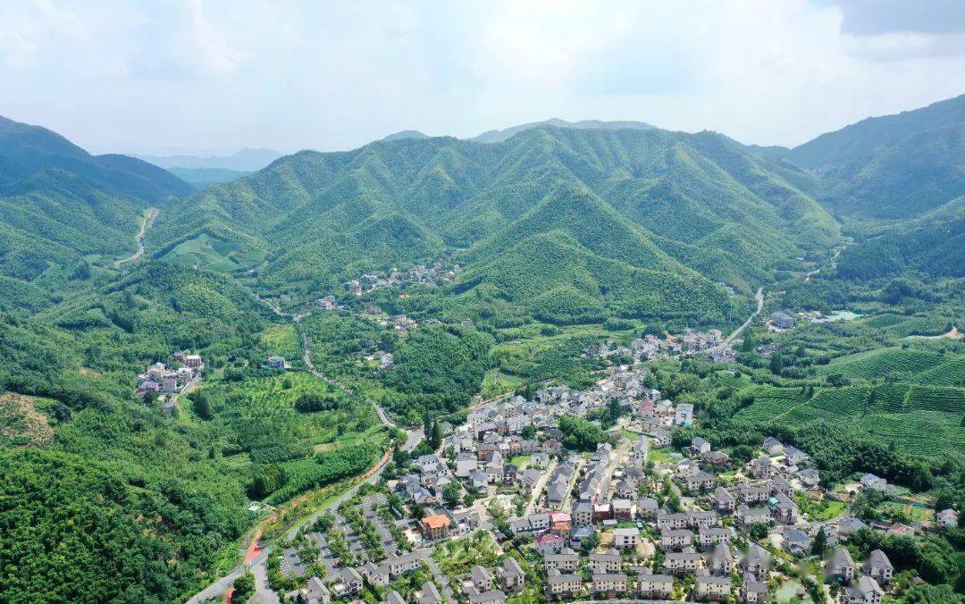 村乡径山镇径山村如今,不仅有来自全国各地的新村民和产业入驻青山村