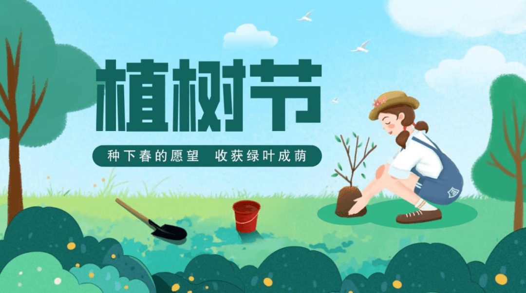 植树节不仅仅是 种 树而已 其中的知识点你知道多少 物理 教学 方法