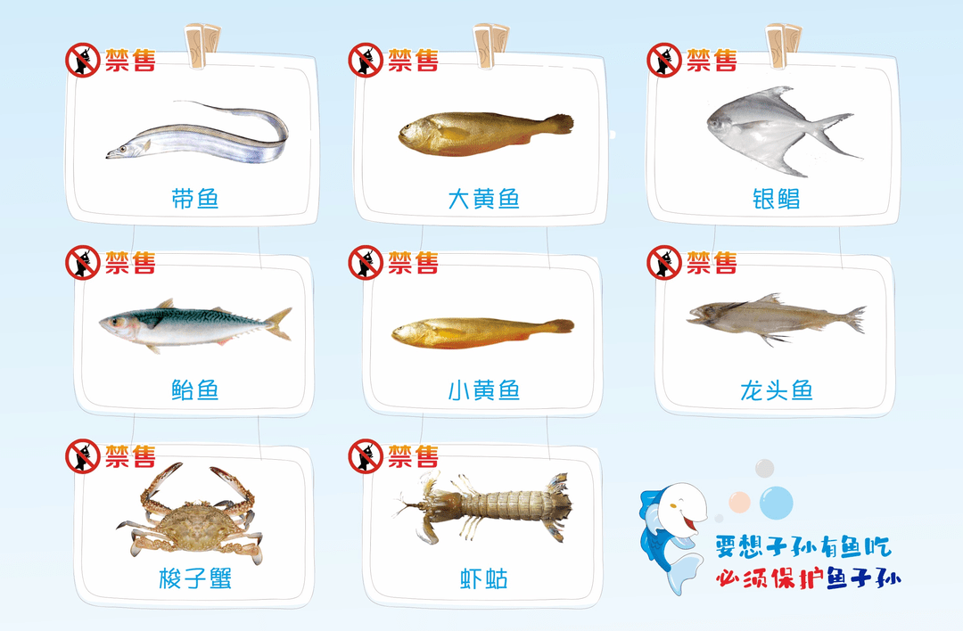 5月1日12时起 东海全面进入海洋伏季休渔期 捕捞 作业 渔船