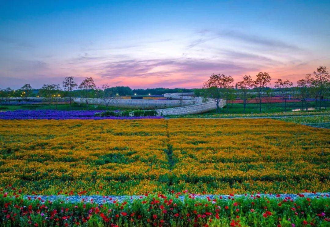 衲田花海遇劳模,百花觅得百花蜜