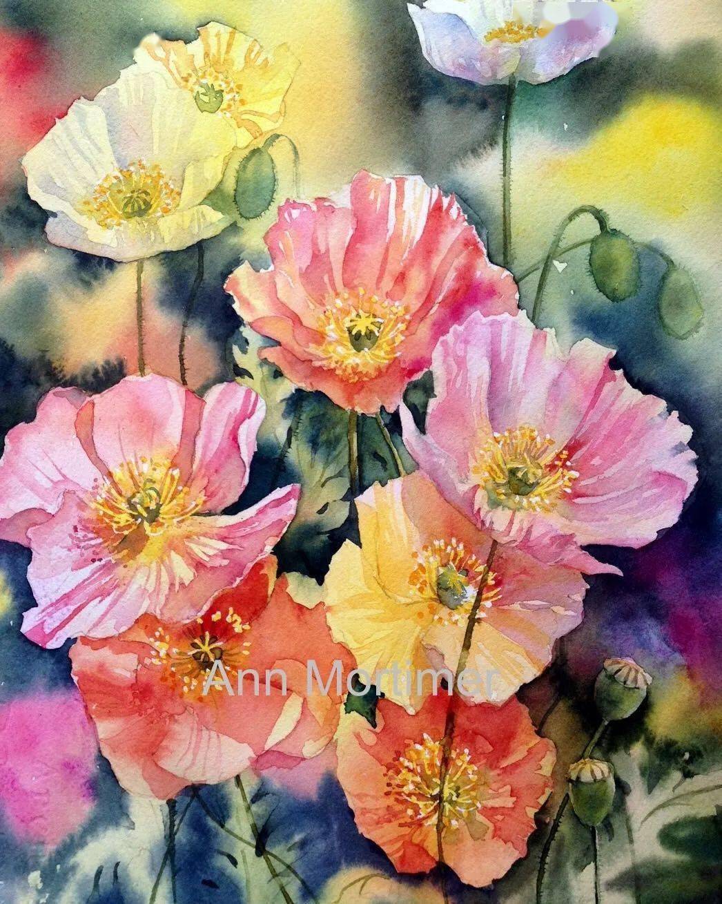 她在后院种下800种花用水彩记录下它们盛开的时刻惊艳了时光