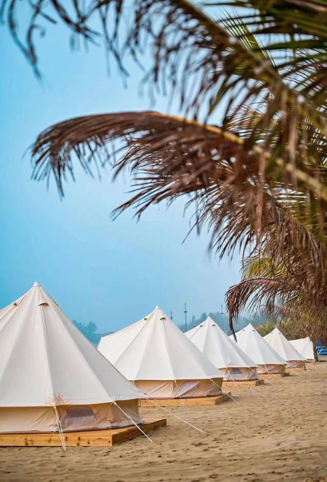一生必体验的海边露营，和心爱的人一起看一场绝美日落_帐篷
