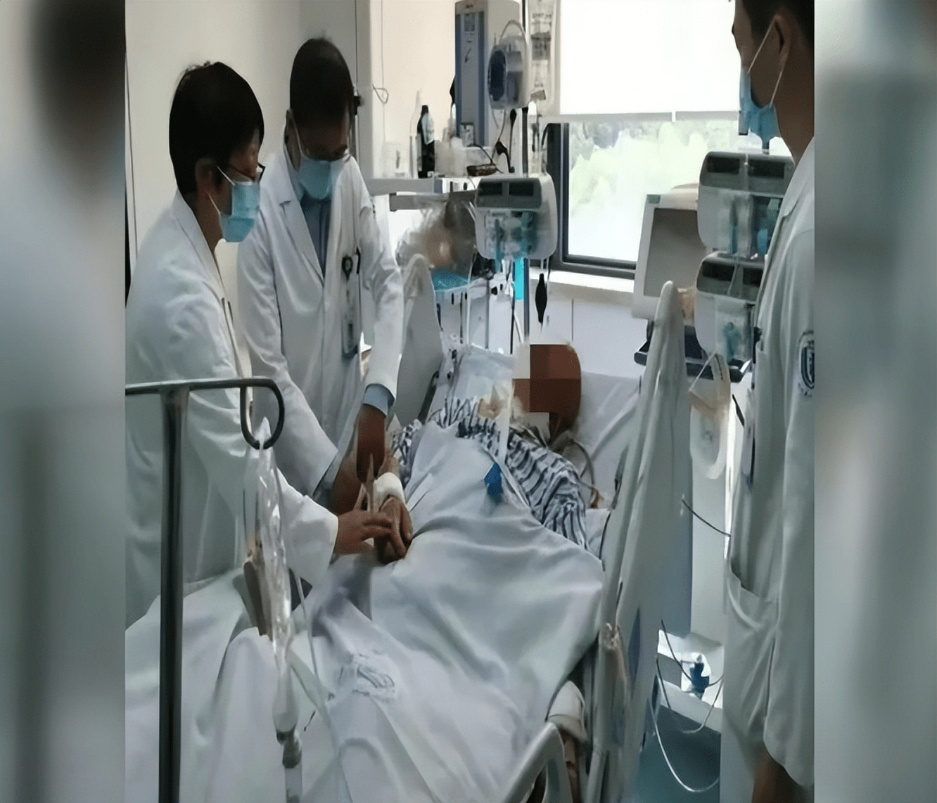 这种"毒虫"近期活跃,60岁老人被咬住进icu_布尼亚_病毒_吸血
