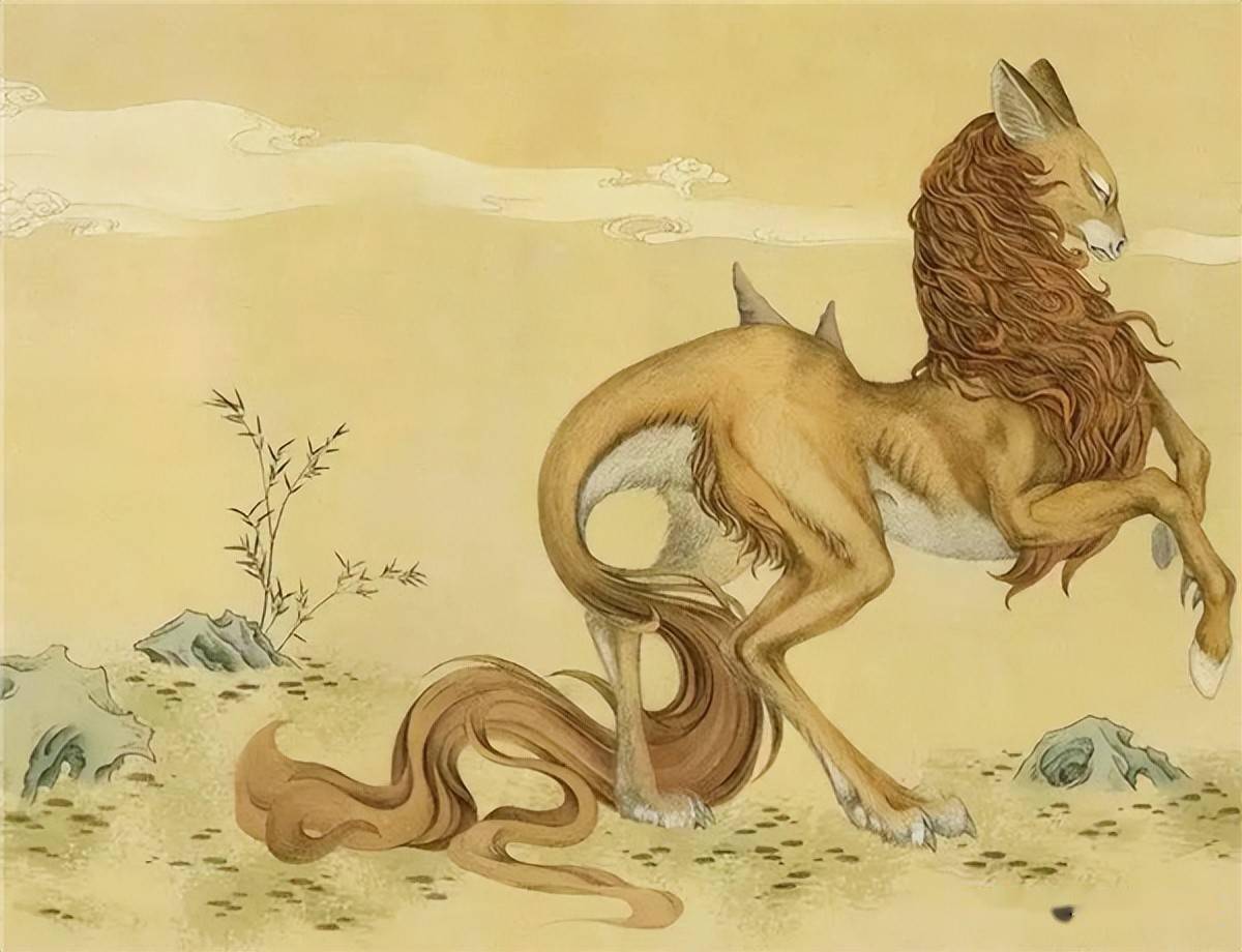 山海经中的犬封国生男为狗生女为美人可能真的存在