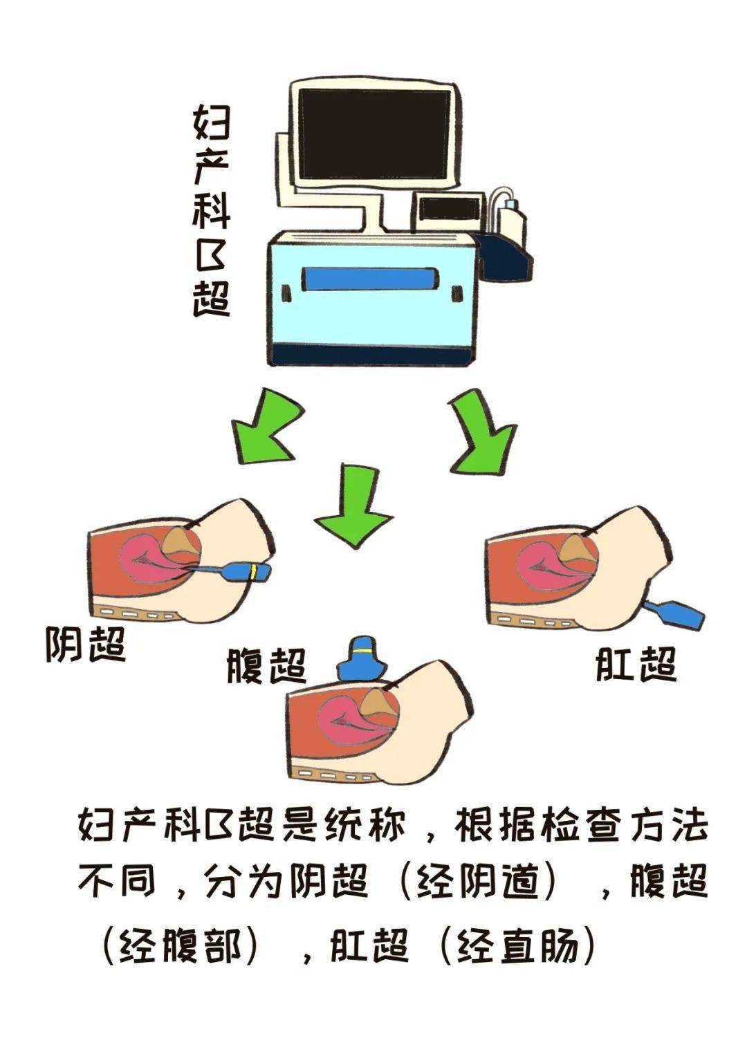 出血,怀孕都可以做阴超?