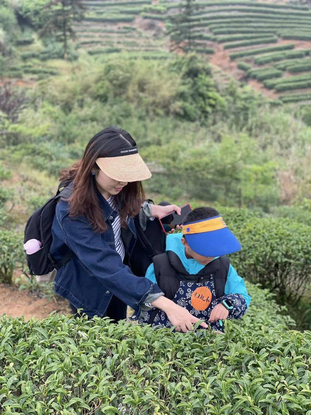 茶香清新快乐童心她时代归趣来采茶纪