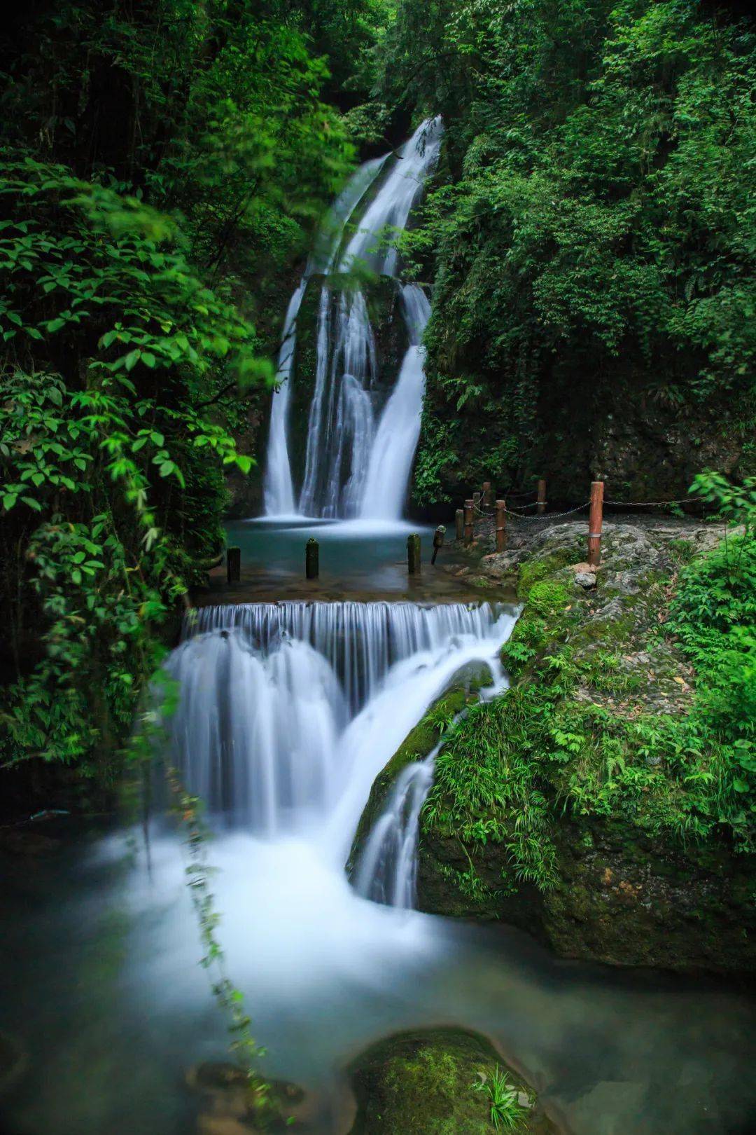 都江堰立夏图鉴 | 春意藏,夏初长,治愈系清凉美景来咯↓↓_公园_韦