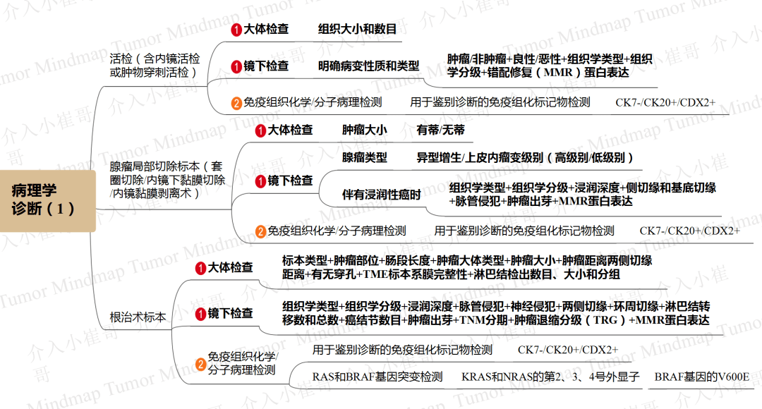 病理學診斷(2)tnm分期高級別腺瘤ct1-2n0m0(2)ct3n0m0txnxm1直腸癌的