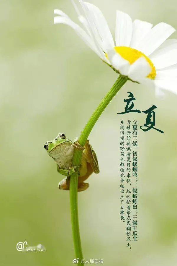 68 立夏习俗 68三候:王瓜生二候:蚯蚓出一候:蝼蝈鸣68 立夏三候