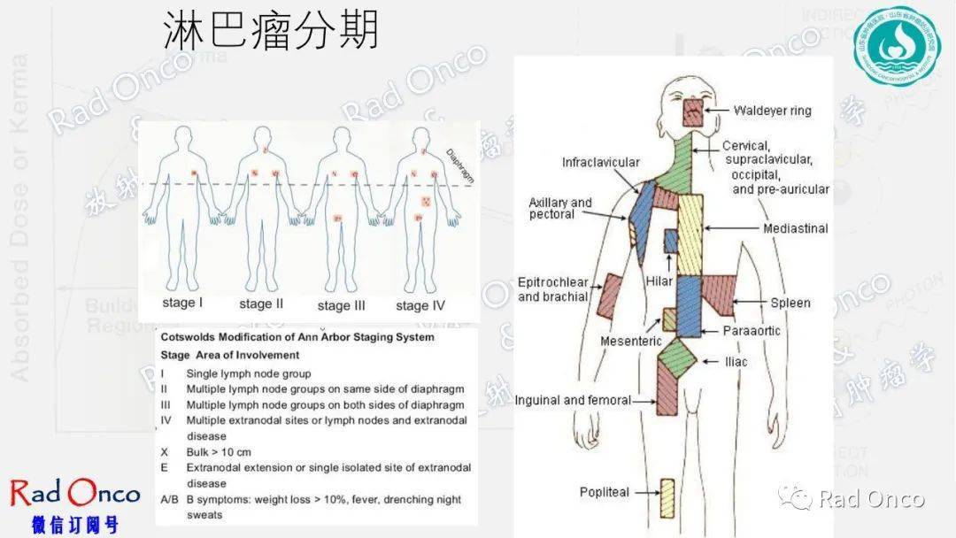 精品課件瀰漫大b細胞淋巴瘤dlbcl的放療進展