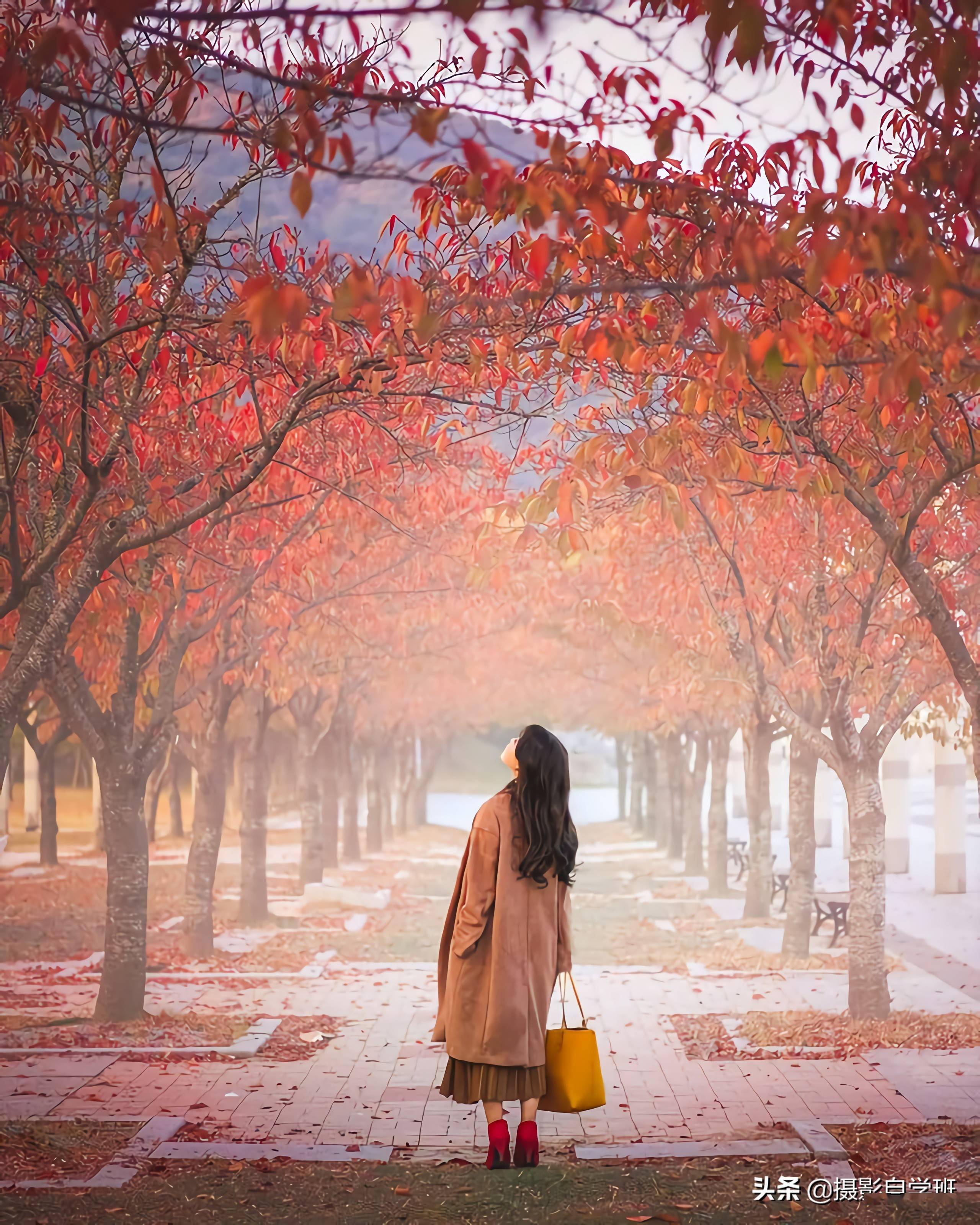 人物拍摄背景图片