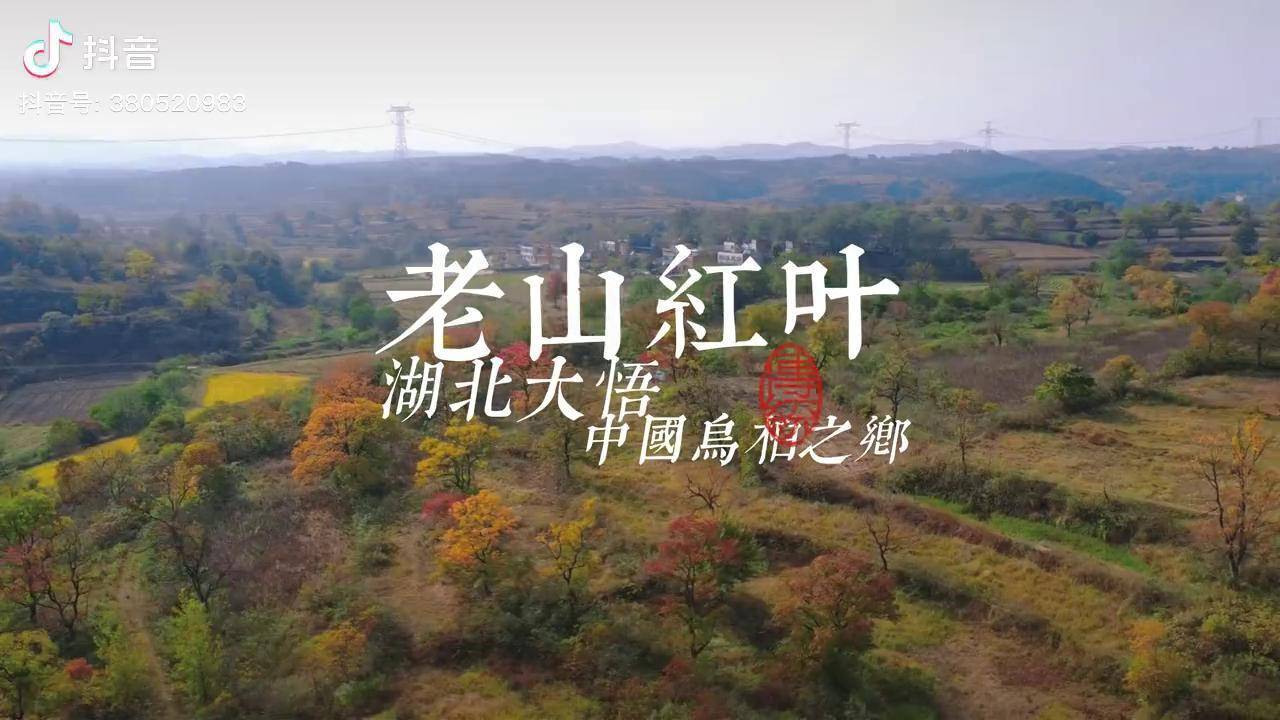大悟 红叶 秋天 中国乌桕之乡 航拍 老山红叶观光园_红叶_乌桕_老山