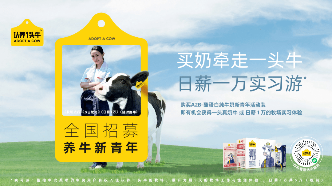 quot当红quot之后认养一头牛的quot长红quot选择