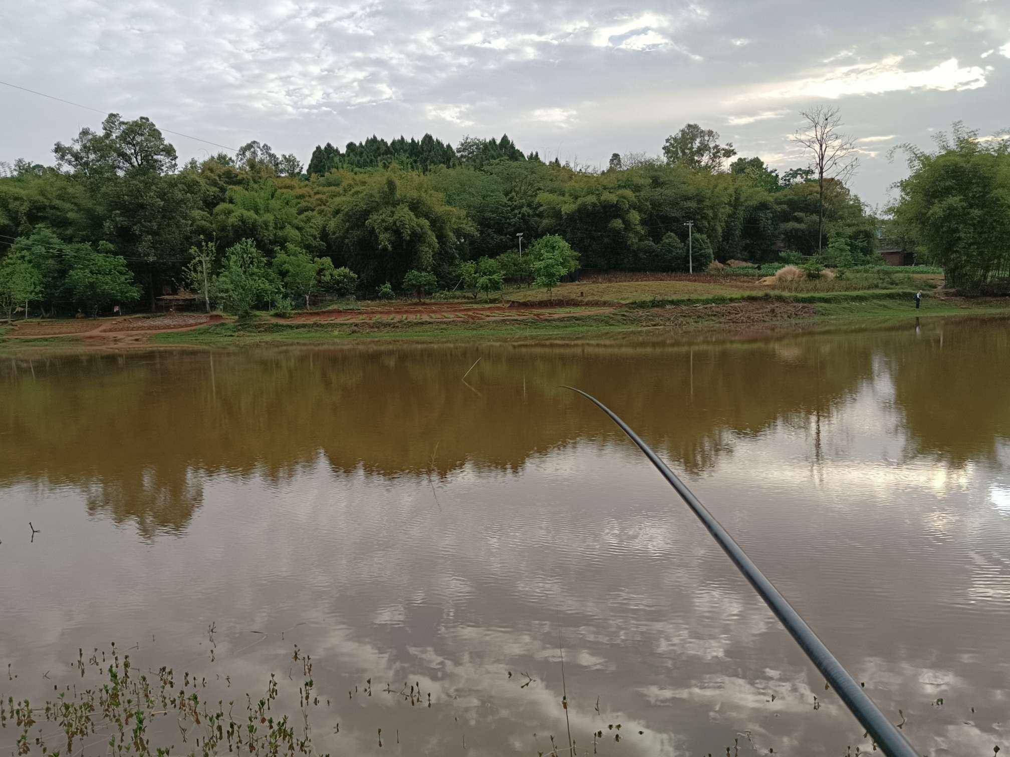 錯峰出釣漂亮的太陽魚熱情來襲